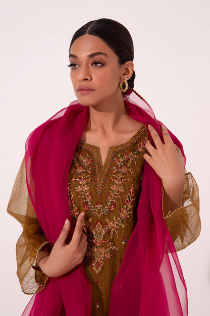 Stitched 2 Piece Embroidered Textured Organza Suit.