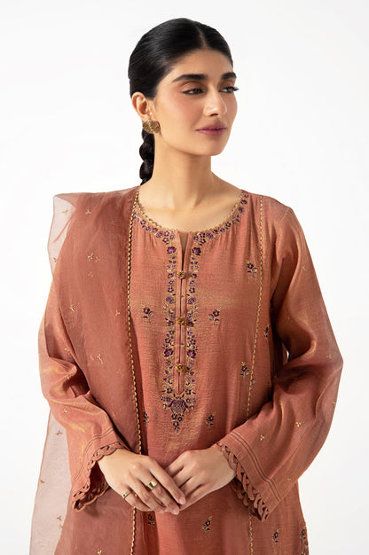 Stitched 2 Piece Mysuri Embroidered Suit