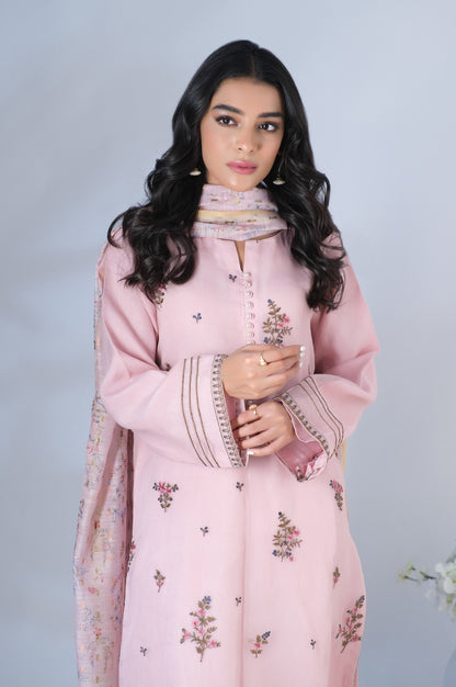 Stitched 2 Piece Organza Embroidered Outfit