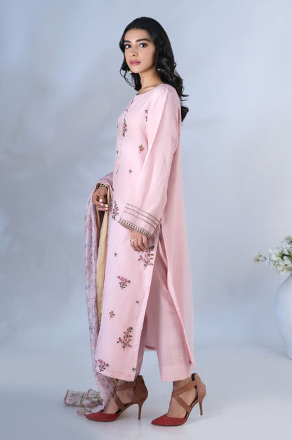 Stitched 2 Piece Organza Embroidered Outfit