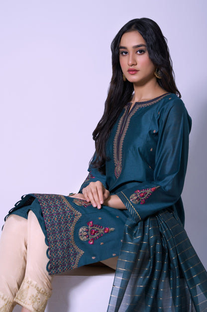 Stitched 2 Piece Cotton Net Embroidered Outfit