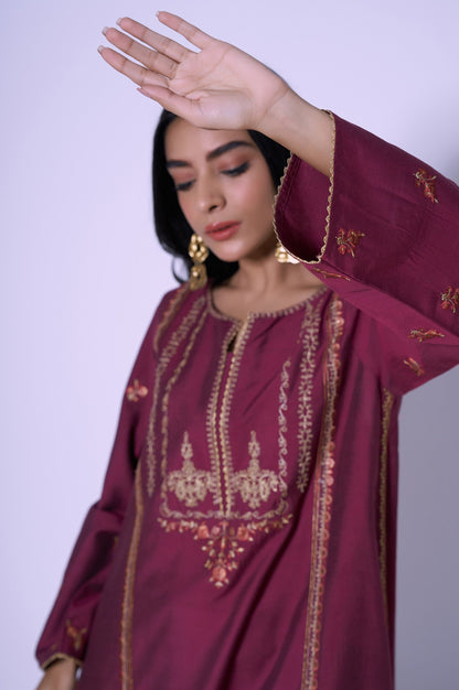 Stitched 2 Piece Cotton Silk Embroidered Outfit