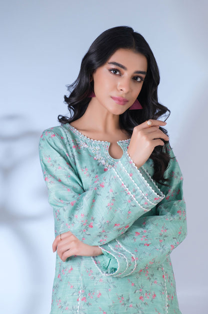 Stitched 2 Piece Cotton Staple Embroidered Outfit