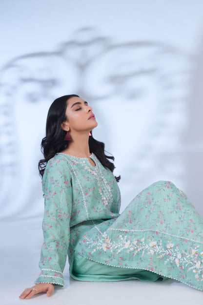 Stitched 2 Piece Cotton Staple Embroidered Outfit