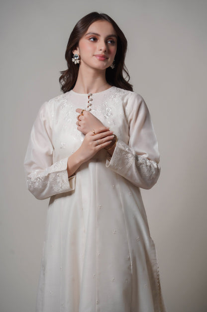 Stitched 2 Piece Embroidered Cotton Net Outfit