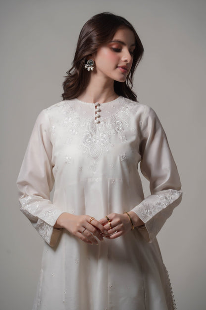 Stitched 2 Piece Embroidered Cotton Net Outfit