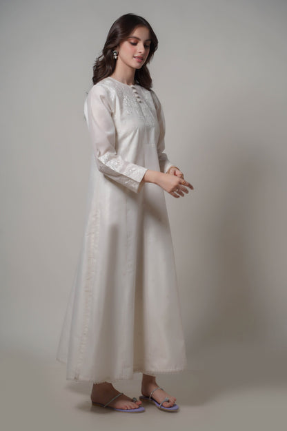 Stitched 2 Piece Embroidered Cotton Net Outfit