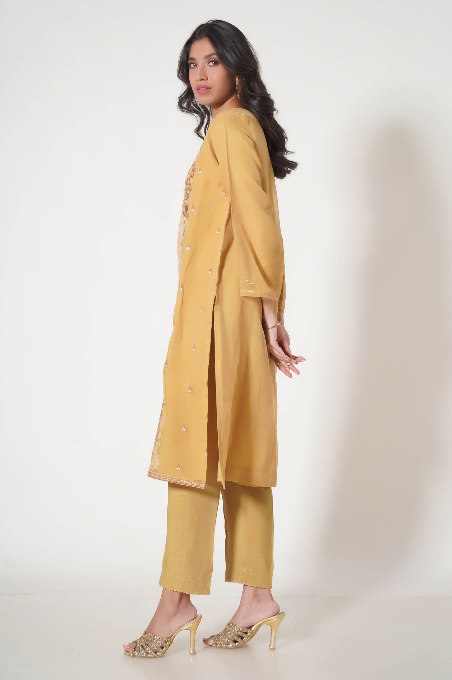 Stitched 2 Piece Embroidered Organza Outfit