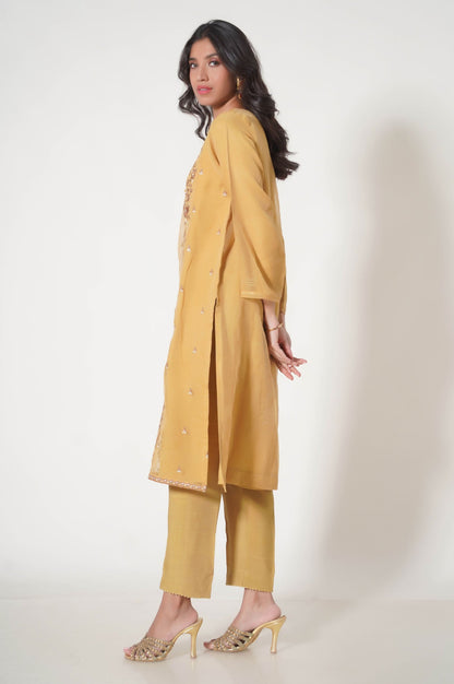 Stitched 2 Piece Embroidered Organza Outfit