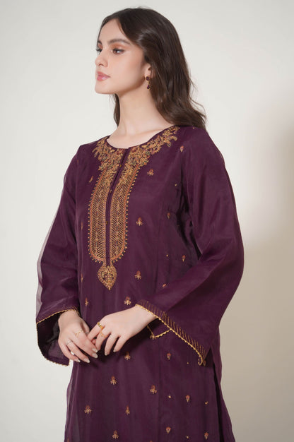 Stitched 2 Piece Embroidered Organza Outfit