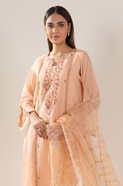 Stitched 2 Piece Embroidered Khaddi Net Outfit