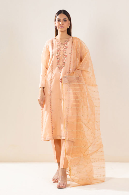 Stitched 2 Piece Embroidered Khaddi Net Outfit