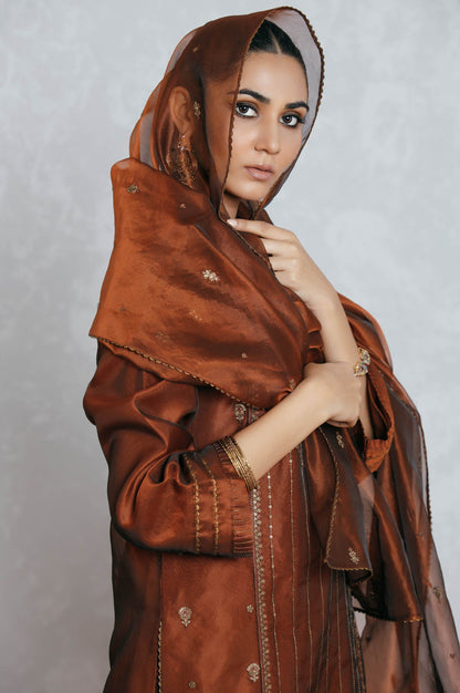 Stitched 3 Piece Organza Embroidered Suit