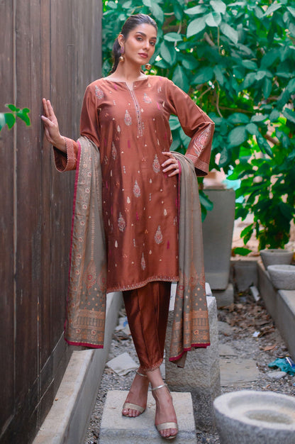 Stitched 3 Piece Cotton Silk Embroidered Suit with Screen Printed Dupatta