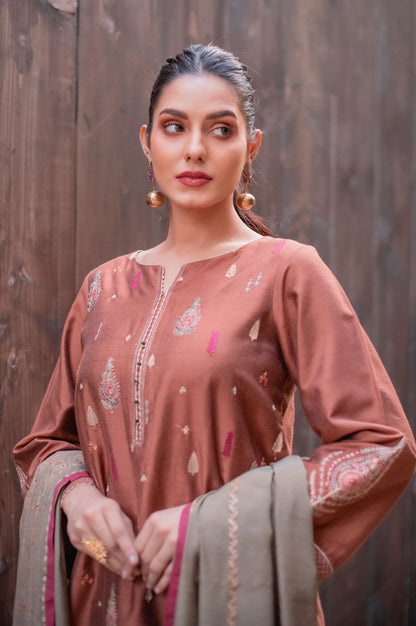 Stitched 3 Piece Cotton Silk Embroidered Suit with Screen Printed Dupatta