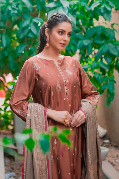 Stitched 3 Piece Cotton Silk Embroidered Suit with Screen Printed Dupatta