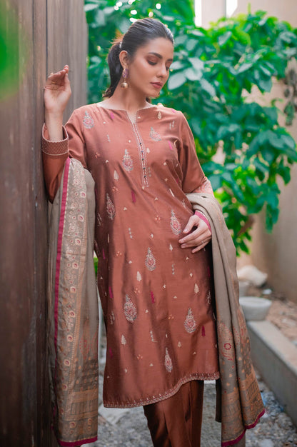 Stitched 3 Piece Cotton Silk Embroidered Suit with Screen Printed Dupatta