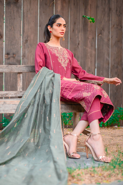 Stitched 3 Piece Cotton Net Embroidered Suit