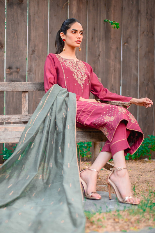 Stitched 3 Piece Cotton Net Embroidered Suit