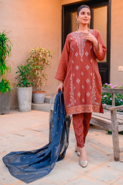 Stitched 3 Piece Cotton Net Embroidered Suit