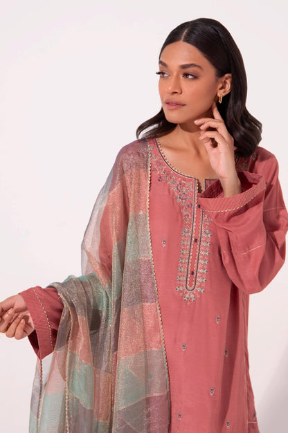 Stitched 3 Piece Raw Silk Embroidered Outfit