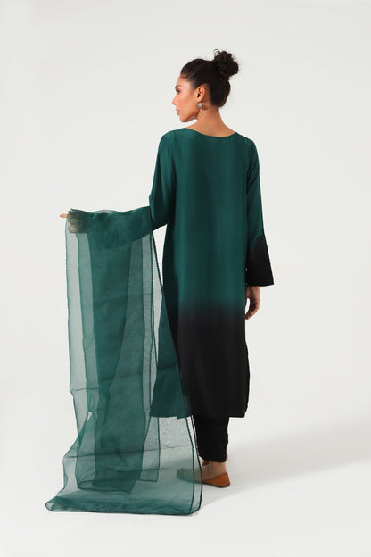 Stitched 3 Piece Embroidered Raw Silk Outfit