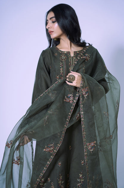 Stitched 3 Piece Organza Embroidered Outfit