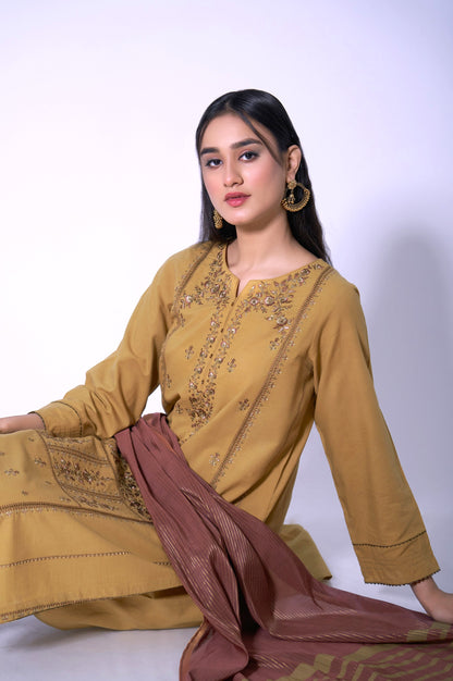 Stitched 3 Piece Cambric Embroidered Outfit