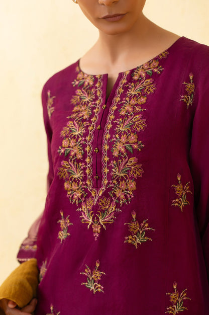 Stitched 3 Piece Embroidered Organza Outfit