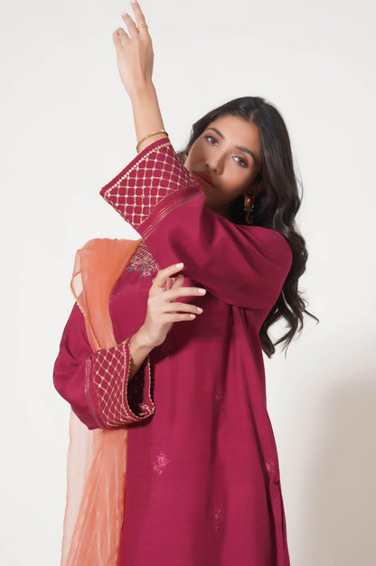 Stitched 3 Piece Embroidered Raw Silk Outfit