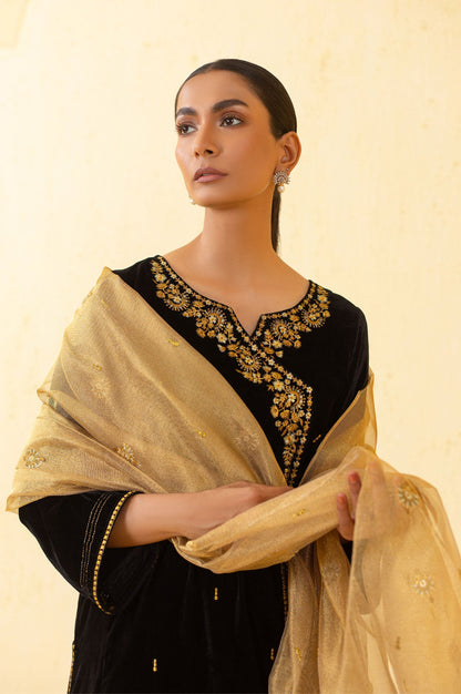 Stitched 3 Piece Embroidered Velvet Outfit - Black