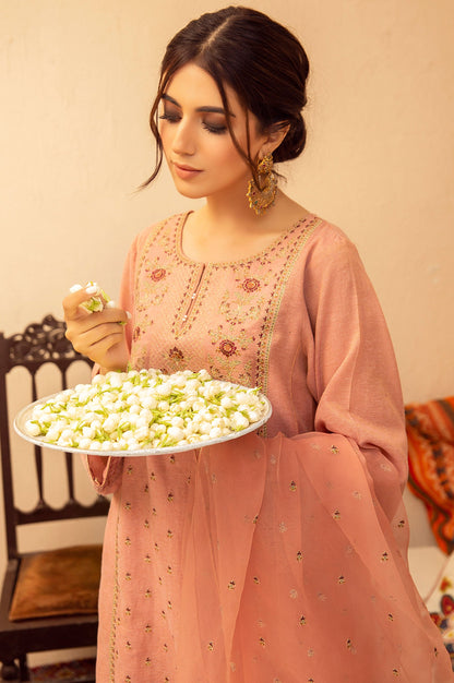 Stitched 2 Piece Zari Khadi Net Embroidered Suit