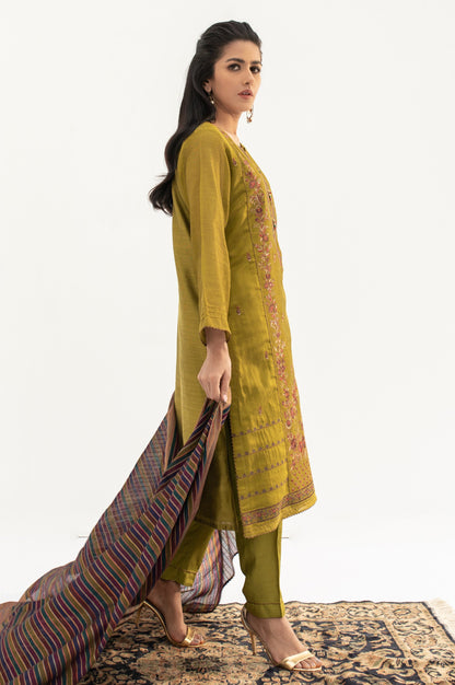 Stitched 2 Piece Cotton Net Embroidered Suit