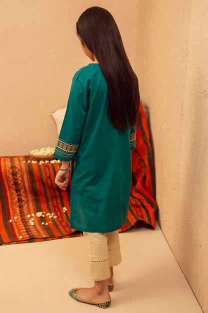 stitched 1 Piece Embroidered Shirt - Cotton