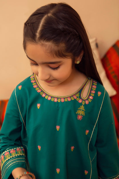 stitched 1 Piece Embroidered Shirt - Cotton