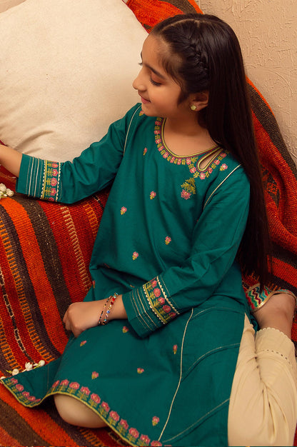 stitched 1 Piece Embroidered Shirt - Cotton