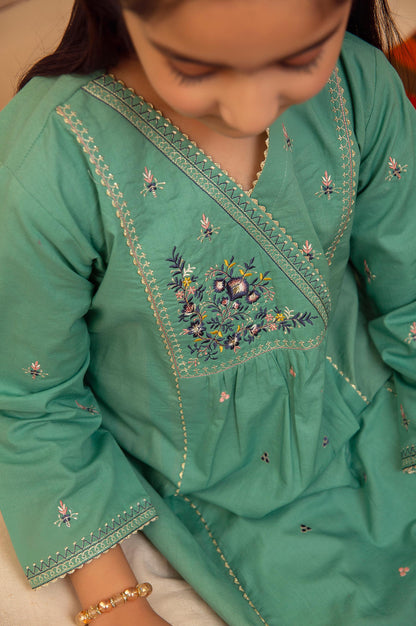 stitched 1 Piece Embroidered Shirt - Cotton