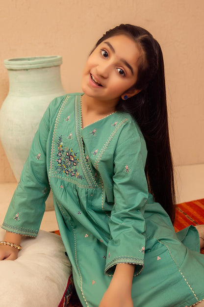 stitched 1 Piece Embroidered Shirt - Cotton