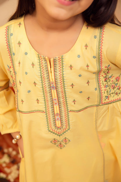 stitched 1 Piece Embroidered Shirt - Cotton