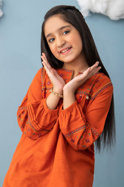 Stitched 1 Piece Embroidered Khaddar Junior Shirt