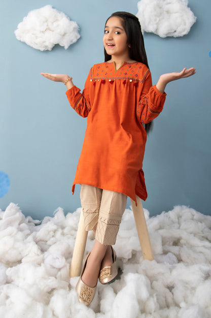 Stitched 1 Piece Embroidered Khaddar Junior Shirt