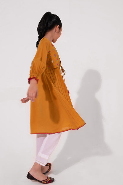 Stitched 1 Piece Embroidered Cambric Shirt