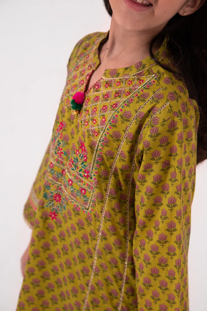 Stitched 1 Piece Printed Embellished Lawn Shirt