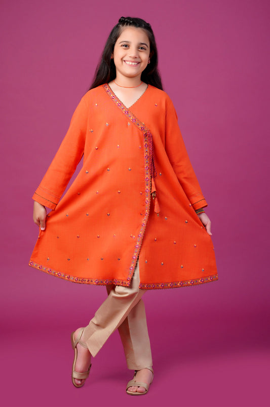 Stitched 1 Piece Embroidered Khaddar Shirt