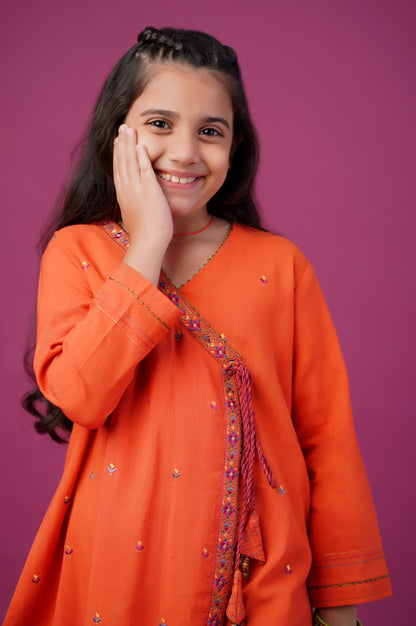 Stitched 1 Piece Embroidered Khaddar Shirt