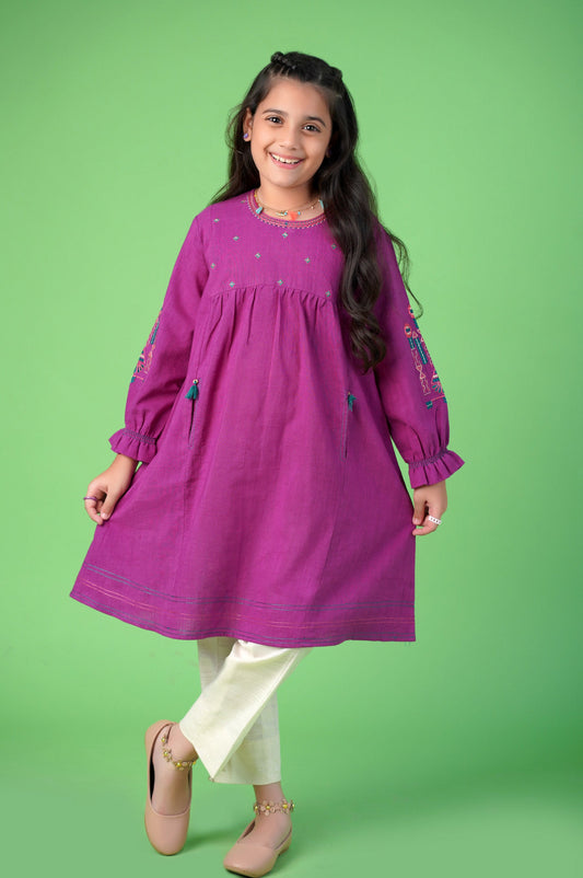 Stitched 1 Piece Embroidered Khaddar Shirt