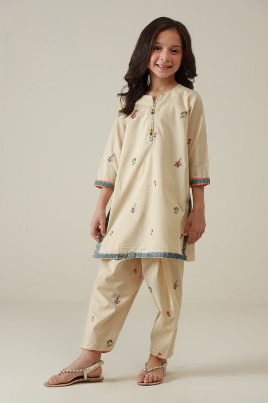 Stitched 2 Piece Embroidered Cambric Suit