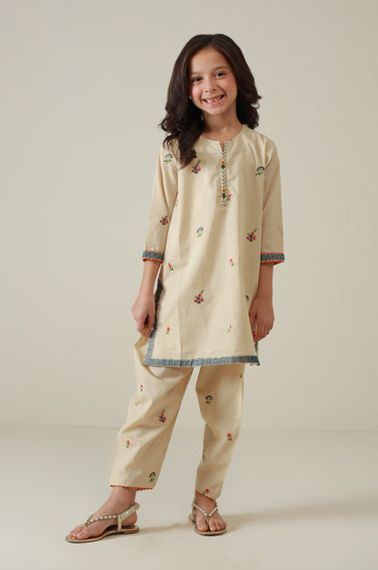 Stitched 2 Piece Embroidered Cambric Suit