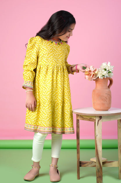 Stitched 1 Piece Printed Khaddar Shirt