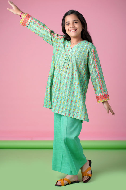 Stitched 1 Piece Printed Khaddar Shirt